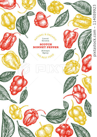 Hand drawn sketch style scotch bonnet pepper banner. Organic fresh vegetable vector illustration. Retro cayenne pepper design template Hand drawn sketch style scotch bonnet pepper banner. Organic fresh vegetable vector illustration. Retro cayenne pepper design template 114089923