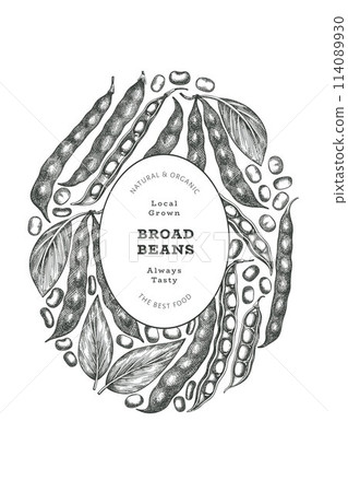 Hand drawn broad beans design template. Organic fresh food vector illustration. Retro pods illustration. Engraved botanical style cereal background. Hand drawn broad beans design template. Organic fresh food vector illustration. Retro pods illustration. Engraved botanical style cereal background. 114089930