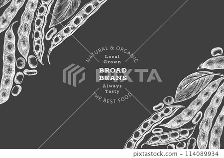 Hand drawn broad beans design template. Organic fresh food vector illustration on chalk board. Retro pods illustration. Botanical style cereal background. 114089934