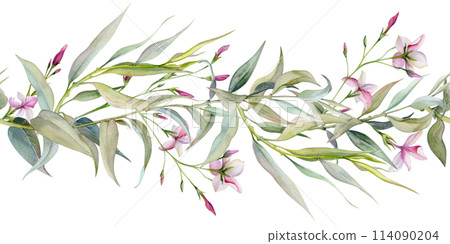 Hand drawn watercolor illustration botanical leaves. Osier willow eucalyptus laurel branch, Clematis anemone lobelia impatiens jasmine, orange flower. Seamless banner isolated on white. Wedding, love Hand drawn watercolor illustration botanical leaves. Osier willow eucalyptus laurel branch, Clematis anemone lobelia impatiens jasmine, orange flower. Seamless banner isolated on white. Wedding, love 114090204
