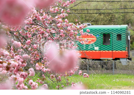Mooka Railway "Enveloped in the patterns of peony cherry blossoms and trains" Mooka Railway "Enveloped in the patterns of peony cherry blossoms and trains" 114090281