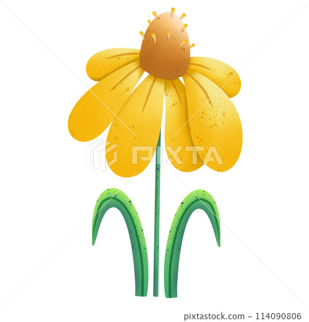 Yellow flower illustration 114090806
