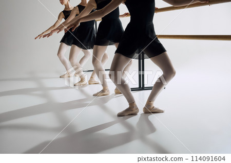 Practicing plie. Cropped image of ballerinas in black costumes and pointe shoes, training at barre against grey studio background. 114091604