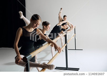 Studio ballet practice. Elegant teen girls practicing at dance class, standing at barre and training against grey studio background 114091607