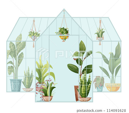 Houseplant and macrame plant growing in hothouse. Greenhouse and macrame plants isolated on white background. Cartoon flat illustration. 114091628