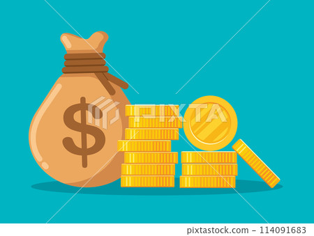 Money bag and stack of gold coins vector illustration 114091683