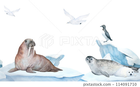 Seamless frame of banner with walrus, seal, guillemot and seagull watercolor illustration on ice , iceberg on background. Horizontal format, for children wallpaper and room decor 114091710