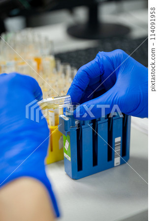 a close-up of laboratory tests in a test tube 114091958