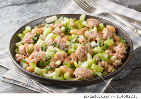 White Bean, Tuna and Celery Salad with vinaigrette sauce closeup on the plate. Horizontal 114092235
