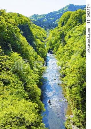 新綠的廣瀨川 114092274