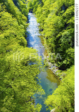 新綠的廣瀨川 114092277