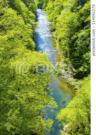 Hirose River of fresh green Hirose River of fresh green 114092278