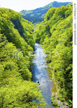 新綠的廣瀨川 新綠的廣瀨川 114092279