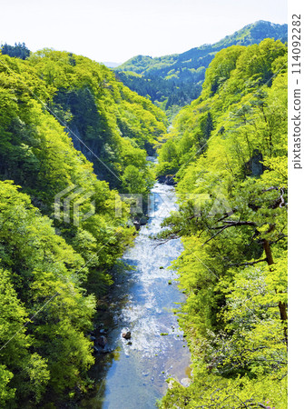 新綠的廣瀨川 114092282