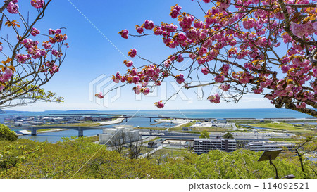 From Hiyoriyama Shrine in Ishinomaki City 114092521