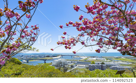 From Hiyoriyama Shrine in Ishinomaki City From Hiyoriyama Shrine in Ishinomaki City 114092523