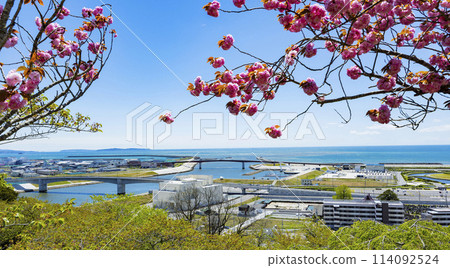 From Hiyoriyama Shrine in Ishinomaki City 114092524