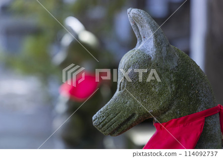 Guardian dog and fox 114092737