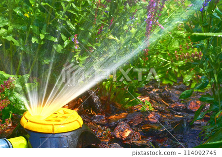 Irrigation system. Sprinkler watering greenery on a hot day in a city park Irrigation system. Sprinkler watering greenery on a hot day in a city park 114092745
