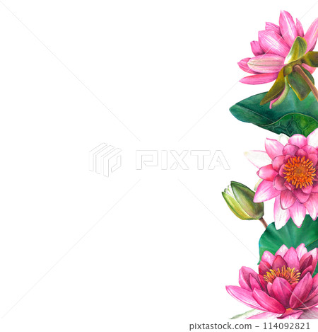 Frame of pink water lily flowers with place for text. Hand drawn watercolor illustration of lotus on isolated background. Bouquet of exotic greenery for spa, zen or wedding design. Botanical drawing. Frame of pink water lily flowers with place for text. Hand drawn watercolor illustration of lotus on isolated background. Bouquet of exotic greenery for spa, zen or wedding design. Botanical drawing. 114092821