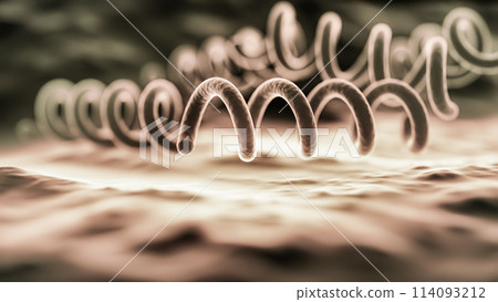 3D Rendering of Treponema Pallidum" 3D Rendering of Treponema Pallidum" 114093212