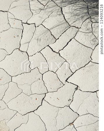 White Sand Crack Texture Background  114093216