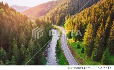 View of road in beautiful green forest atsunset in summer.colorful landscape View of road in beautiful green forest atsunset in summer.colorful landscape 114093613