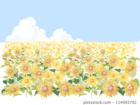 Sunflower field in watercolor style Sunflower field in watercolor style 114093782