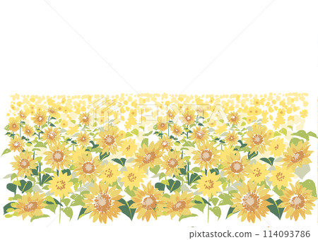 Sunflower field in watercolor style Sunflower field in watercolor style 114093786