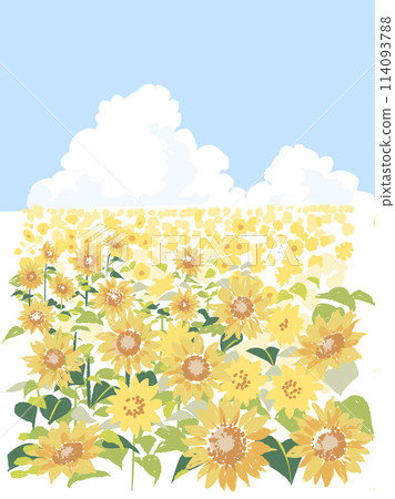 Sunflower field in watercolor style Sunflower field in watercolor style 114093788