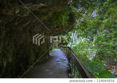 台灣, 花蓮, 太魯閣, 沙卡步道, 森林步道, 台灣, 希里恩, 太魯閣, 沙卡步道, 森林步道, 114093858