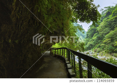 台灣, 花蓮, 太魯閣, 沙卡步道, 森林步道, 台灣, 希里恩, 太魯閣, 沙卡步道, 森林步道, 台灣, 花蓮, 太魯閣, 沙卡步道, 森林步道, 台灣, 希里恩, 太魯閣, 沙卡步道, 森林步道, 114093859