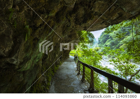 台灣, 花蓮, 太魯閣, 沙卡步道, 森林步道, 台灣, 希里恩, 太魯閣, 沙卡步道, 森林步道, 台灣, 花蓮, 太魯閣, 沙卡步道, 森林步道, 台灣, 希里恩, 太魯閣, 沙卡步道, 森林步道, 114093860