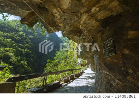 台灣, 花蓮, 太魯閣, 沙卡步道, 森林步道, 台灣, 希里恩, 太魯閣, 沙卡步道, 森林步道, 114093861