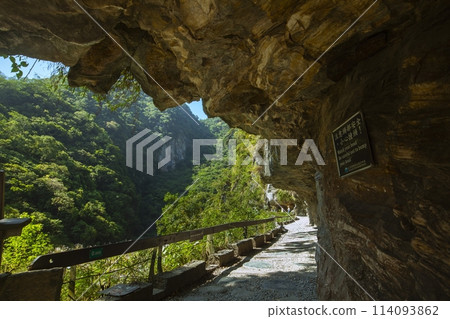 台灣, 花蓮, 太魯閣, 沙卡步道, 森林步道, 台灣, 希里恩, 太魯閣, 沙卡步道, 森林步道, 114093862