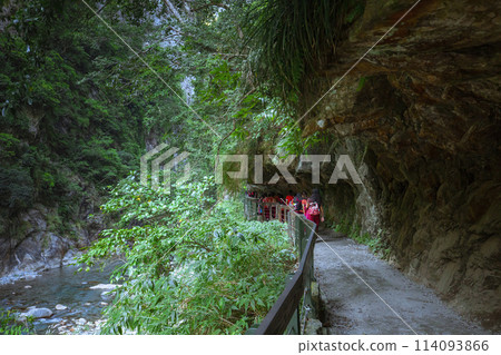 Taiwan, Hualien, Taroko, Sand Card Trail, Forest Trail, Taiwan, Hualien, Taroko, Sand Card, Forest Trail, Taiwan, Hualien, Taroko, Sand Card Trail, Forest Trail, Taiwan, Hualien, Taroko, Sand Card, Forest Trail, 114093866