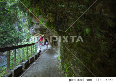 台灣, 花蓮, 太魯閣, 沙卡步道, 森林步道, 台灣, 希里恩, 太魯閣, 沙卡步道, 森林步道, 114093868