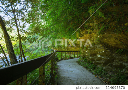 Taiwan, Hualien, Taroko, Sand Card Trail, Forest Trail, Taiwan, Hualien, Taroko, Sand Card, Forest Trail, Taiwan, Hualien, Taroko, Sand Card Trail, Forest Trail, Taiwan, Hualien, Taroko, Sand Card, Forest Trail, 114093870