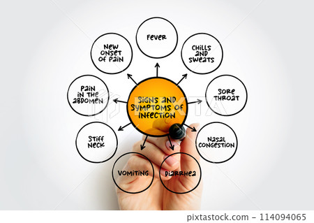 Signs and Symptoms of Infection mind map, text concept for presentations and reports 114094065
