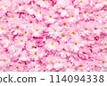 Blossoming Pink Flowers Creating a Beautiful Natural Background 114094338