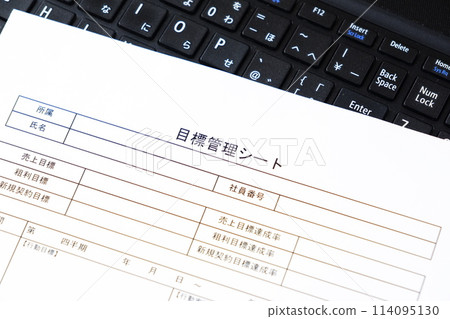 目標管理表,用於明確定義個人和團隊成就目標並跟踪進度的工具 目標管理表,用於明確定義個人和團隊成就目標並跟踪進度的工具 114095130