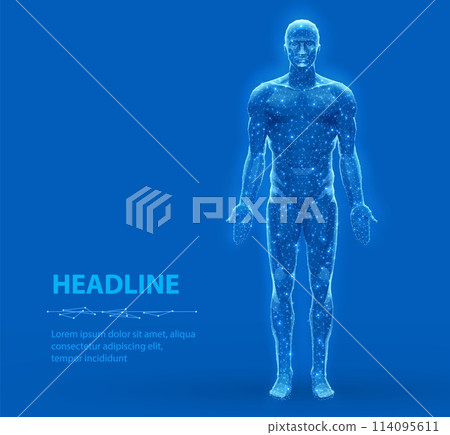 Human body. Abstract vector. Digital anatomy, Medical technology, Muscle structure. Human body. Abstract vector. Digital anatomy, Medical technology, Muscle structure. 114095611