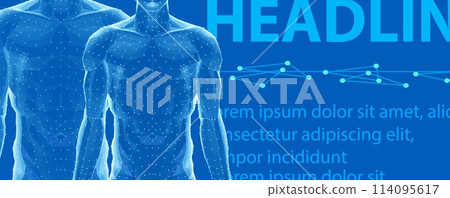 Human body. Abstract vector. Digital anatomy, Medical technology, Muscle structure. Human body. Abstract vector. Digital anatomy, Medical technology, Muscle structure. 114095617