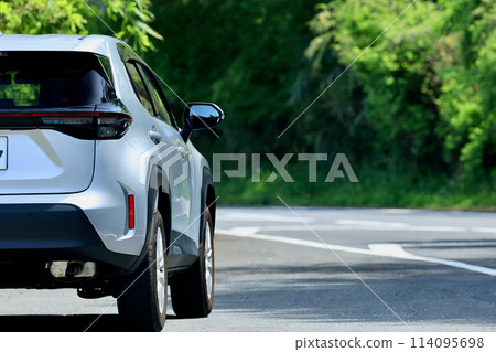 新鮮的綠色和汽車 114095698