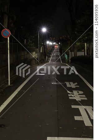 午夜的住宅區，黑暗的小巷，安靜住宅區的夜路 114095936