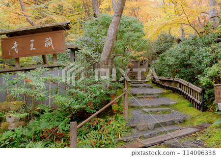 Autumn leaves on the approach to Gion-ji Temple (Ojo-in Nunnery) in Saga, Ukyo Ward, Kyoto City 114096338