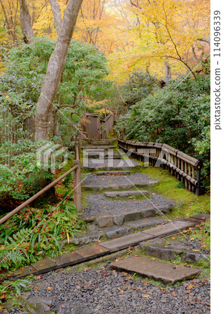 Autumn leaves on the approach to Gion-ji Temple (Ojo-in Nunnery) in Saga, Ukyo Ward, Kyoto City 114096339