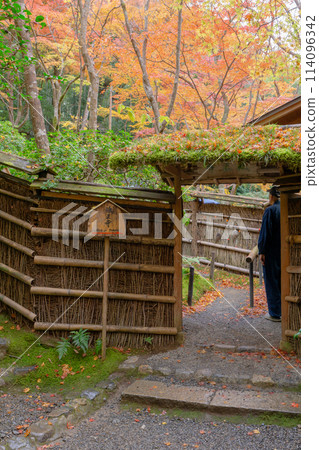 京都市右京區佐賀縣只王寺（尼姑大成院）只王寺入口處的紅葉 114096342