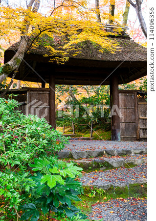 Autumn leaves at the mountain gate of Gion-ji Temple (Ojo-in Nunnery) in Saga, Ukyo Ward, Kyoto City 114096356