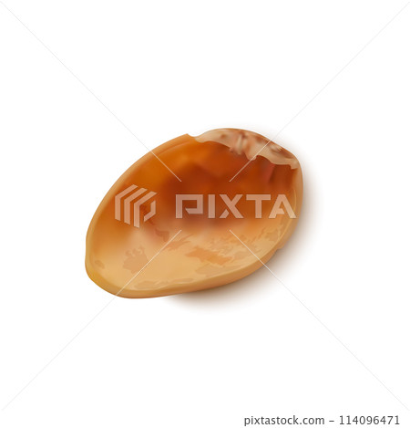 Realistic Detailed 3d Whole Pistachio Nut Kernel Tasty Snack Concept. Vector illustration of Single Pistachio Nut 114096471